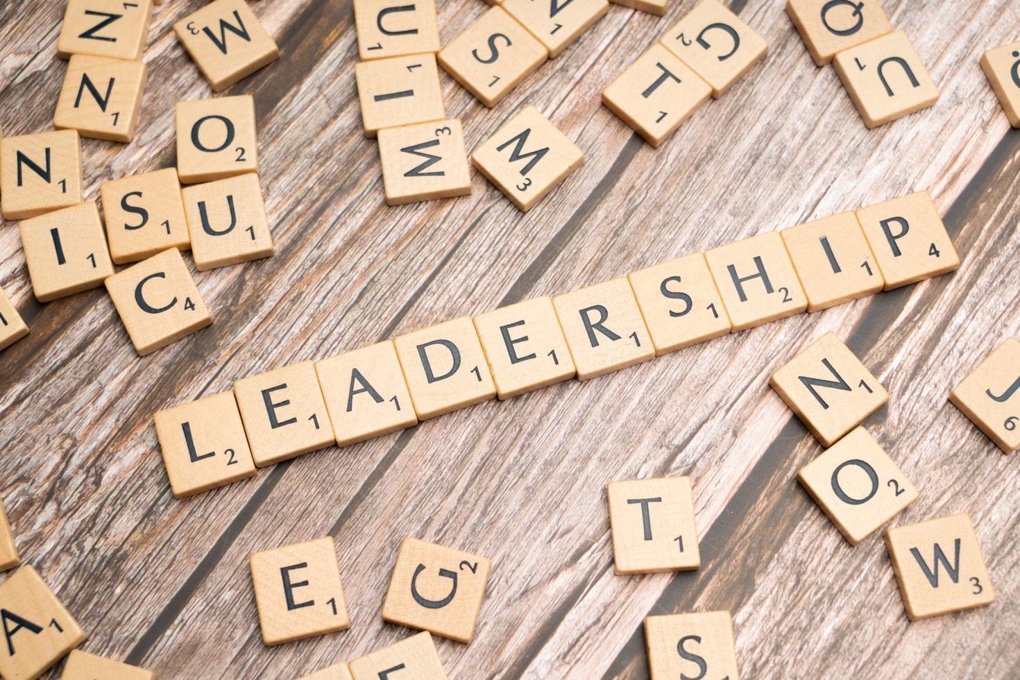 Workplace Dynamics: The Psychology of Team Success